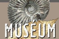 Muséum